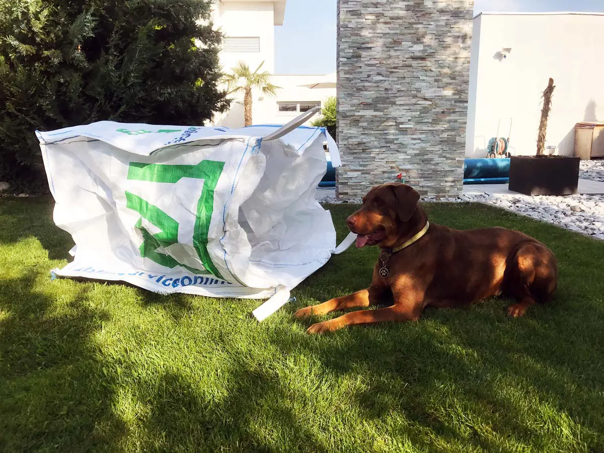 hund-mit-big-bag-schattenplatz-abfall-service-online