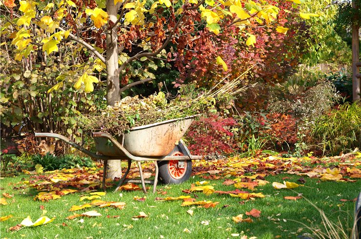 Herbstschnitt im Garten und die korrekte Abfallentsorgung