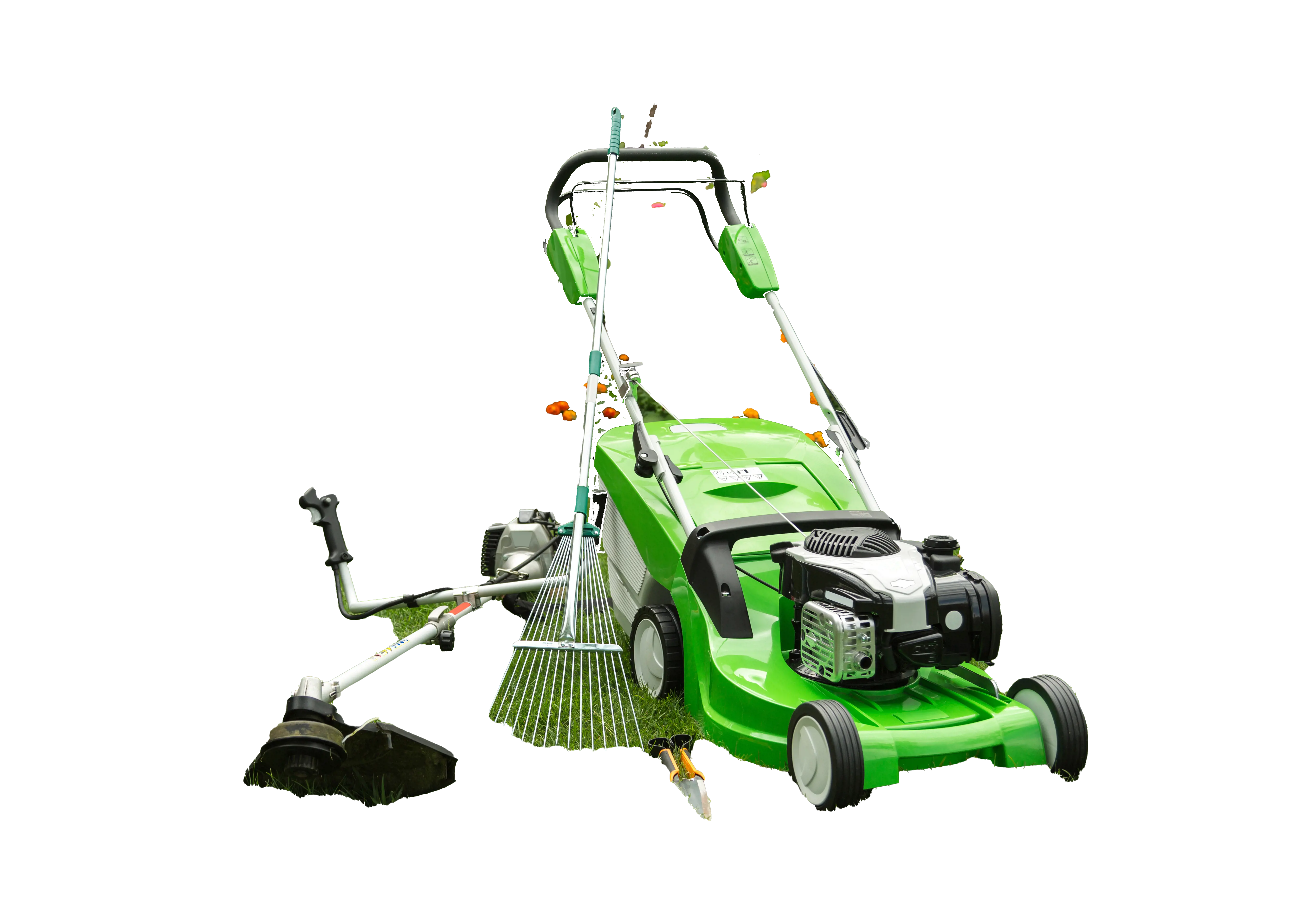 shutterstock_153976919